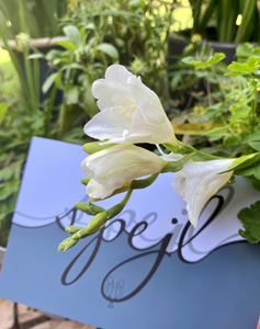 Kalenderkort med temaet "spejl" omgivet af hvide blomster